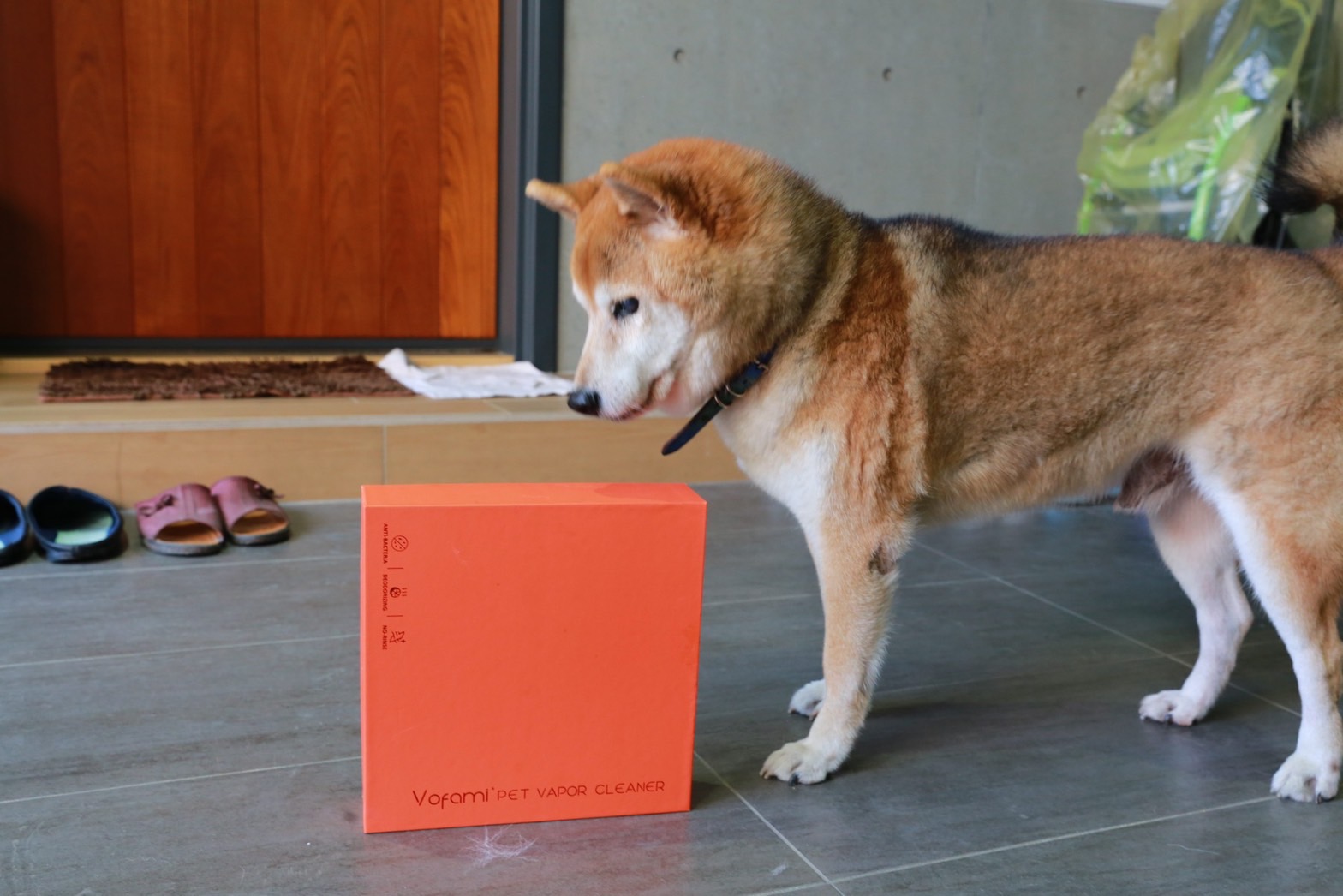 終於有廠商出梳毛+清潔 二合一的工具了(開箱分享)