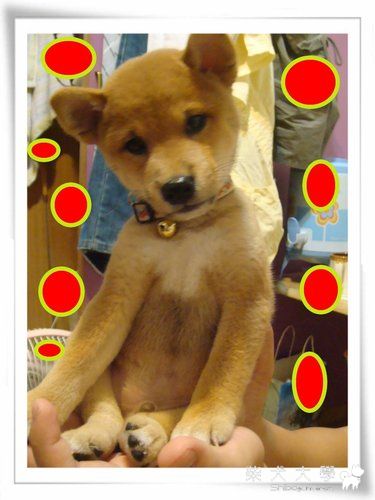 大小差真多...(原發表者:皮蛋)(環境管理)