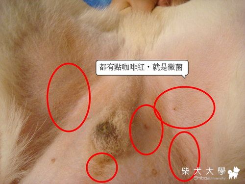 fila發霉了！！(原發表者:皮蛋)(環境管理)