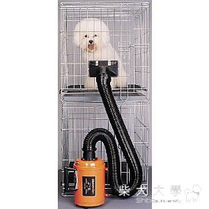 新發現!! 對吹毛頭痛的拔麻過來看一下(原發表者:Miruhii爸)(開箱分享)