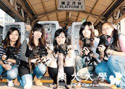 美女軍團 送流浪犬飛美重生(原發表者:咕哩家)(柴老大新聞台)