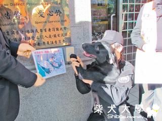 宰殺非虐待？吃狗無罪 動保抗議>>後續報導(原發表者:麻糬媽)(柴老大新聞台)