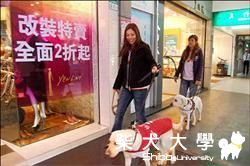 國際導盲犬月 徵求寄養家庭(原發表者:咕哩家)(柴老大新聞台)