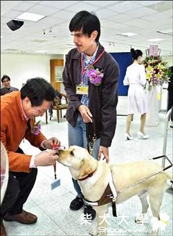全國首隻導聾犬愛莉 原是流浪狗(原發表者:咕哩家)(柴老大新聞台)
