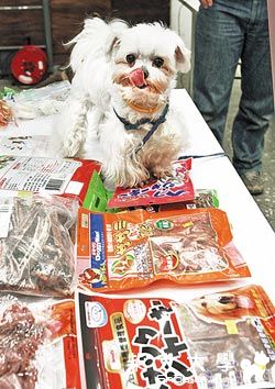 寵物小零食 卡死狗狗屢見不鮮(原發表者:咕哩家)(柴老大新聞台)