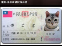 詐騙集團盯上飼主　佯稱辦理「寵物身分證」收費！(原發表者:咕哩家)(柴老大新聞台)
