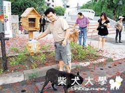 潮州狗狗宅急便 漂流木做的(原發表者:咕哩家)(柴老大新聞台)