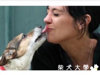 寵物快樂所以我快樂！　研究：飼養寵物　身心更健康快樂(原發表者:咕哩家)(柴老大新聞台)