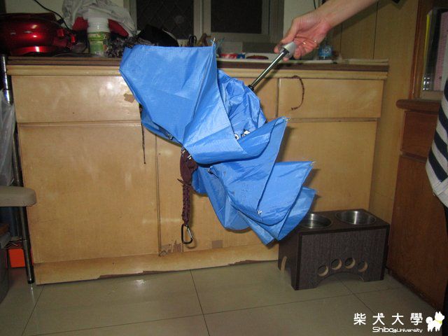雨傘--->澎將專用(原發表者:澎將哥)(開箱分享)