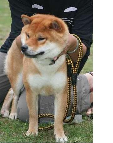 《心動奇蹟》－  感動後 心動前 請停聽看(原發表者:nychang)(柴老大新聞台)