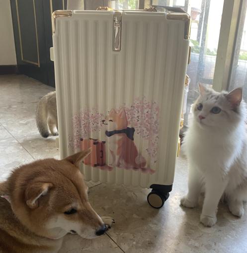 櫻花柴柴行李箱開箱文~(開箱分享)