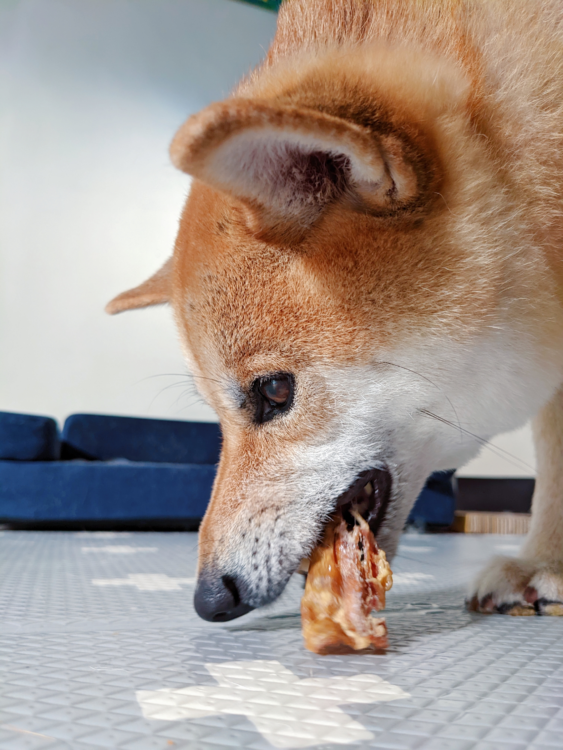 [開箱分享]挑食少爺Funny的BONE APPETIT零食試吃開箱文
