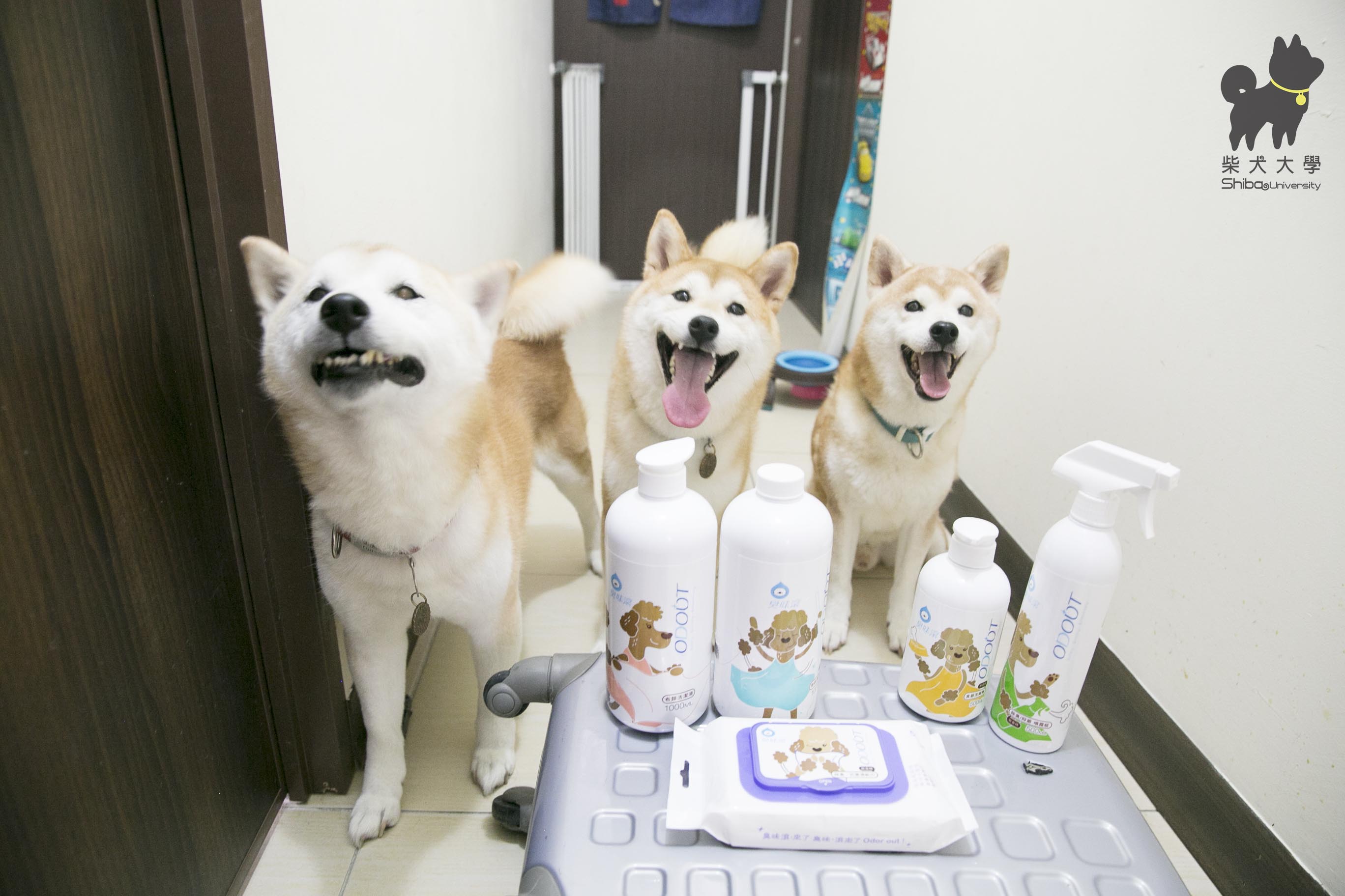 [開箱分享]去除尿騷味好物~養狗家庭必備法寶 │臭味滾除臭系列