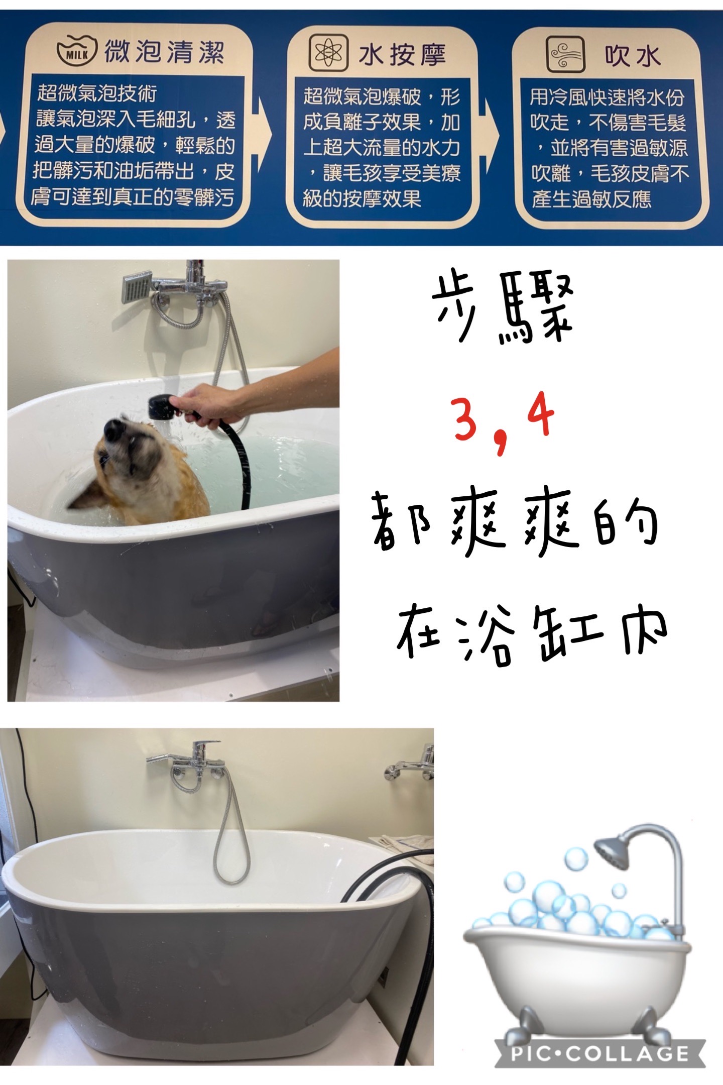 [開箱分享]柴犬Paffy｜皮膚變好了
