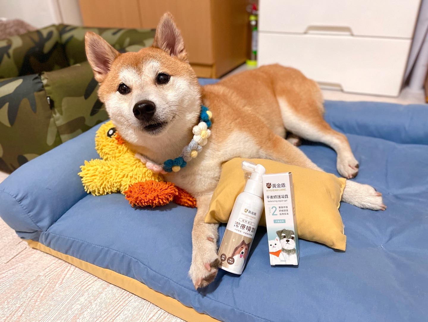 [開箱分享]治癒趾間炎的法寶【黃金盾】寵物傷口潔療噴劑