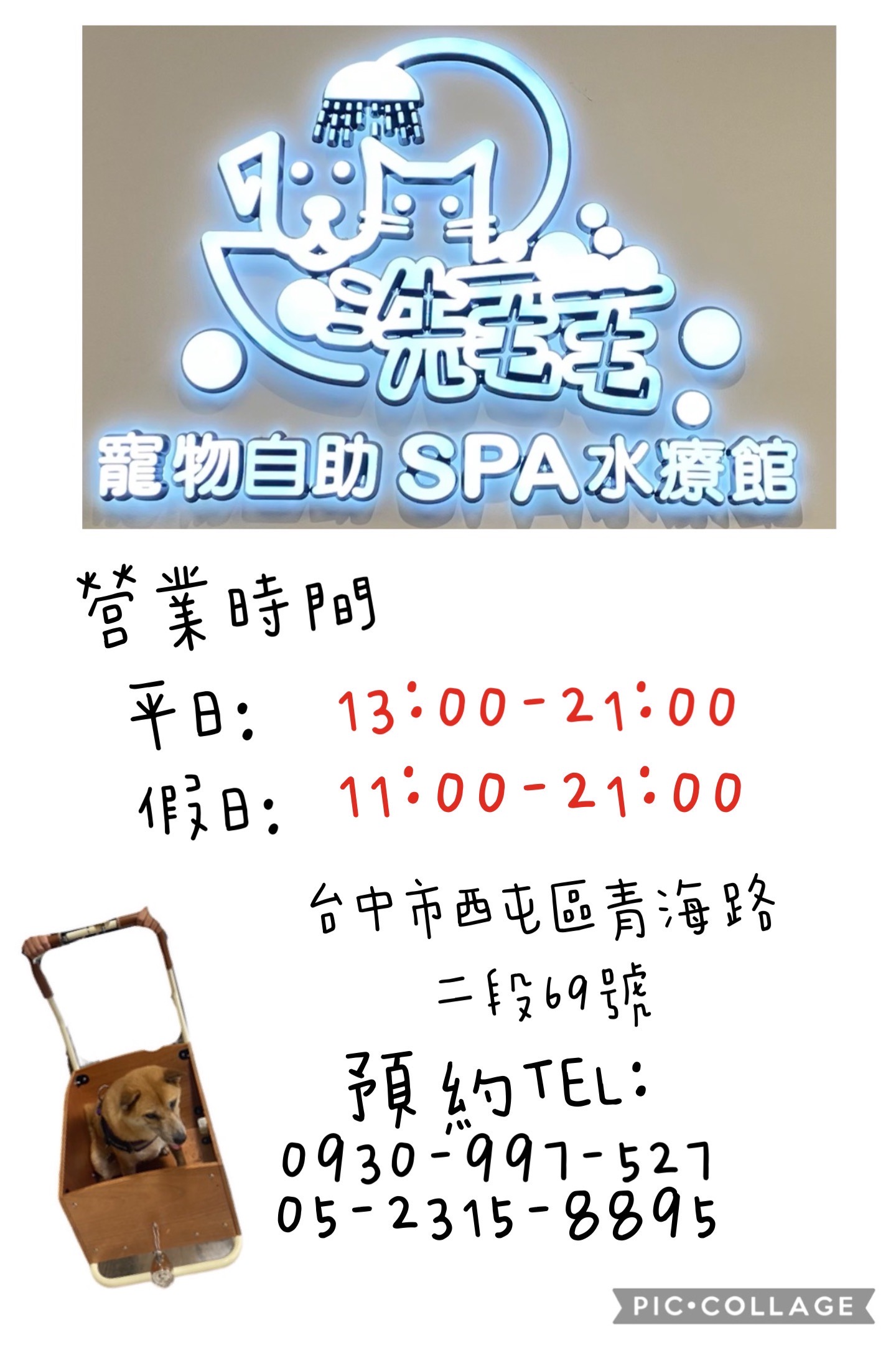 [開箱分享]柴犬Paffy｜皮膚變好了