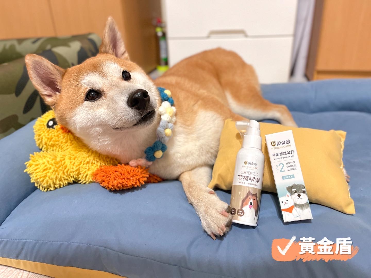 [開箱分享]治癒趾間炎的法寶【黃金盾】寵物傷口潔療噴劑