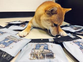 柴犬胡迪｜BONE APPETIT零食分享(開箱分享)