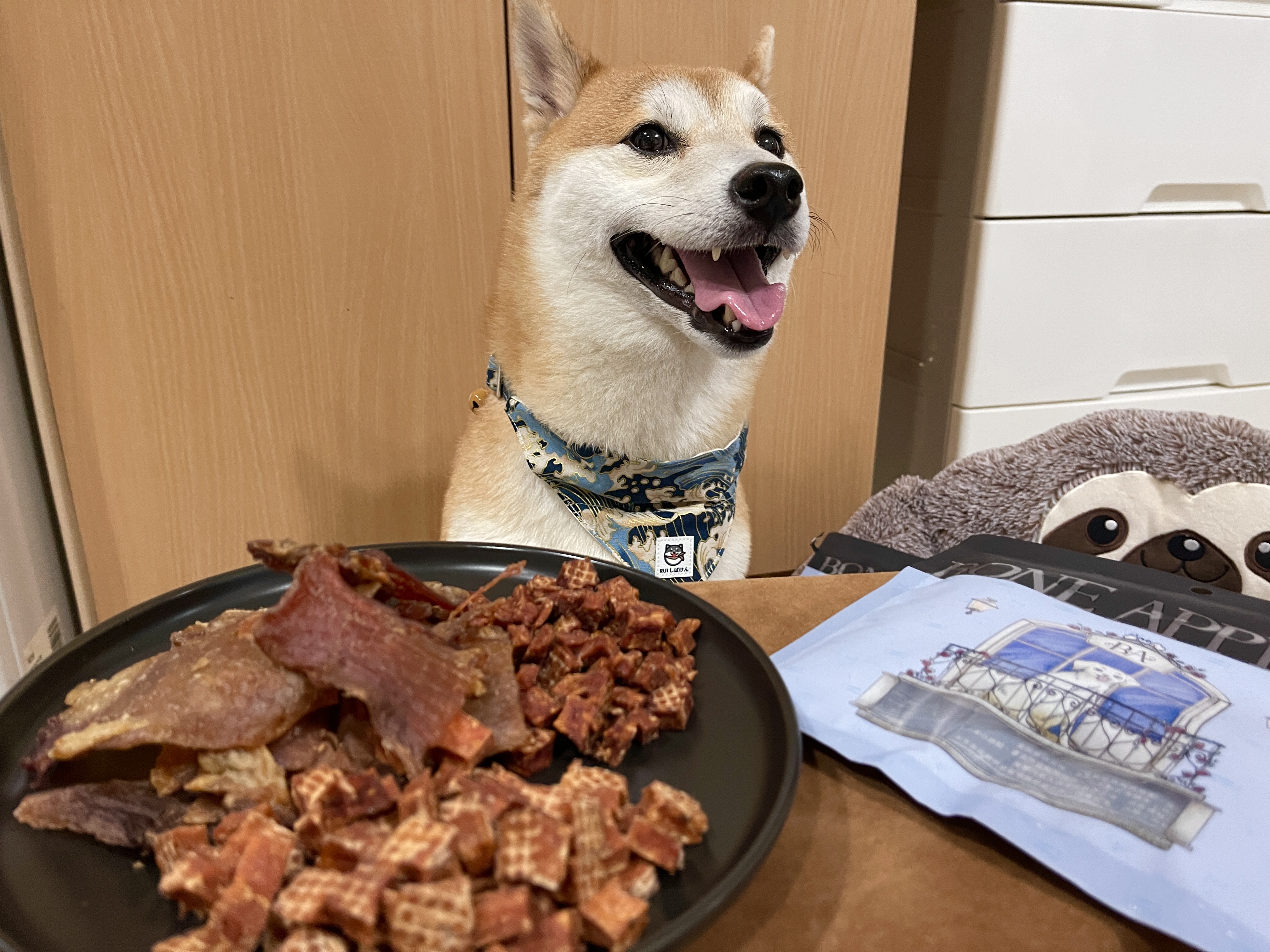 [開箱分享]柴犬皮皮｜Bone Appetit 原肉零食❗️ 雞肉風味骰子鹿、蘋果骰子機、牛筋片