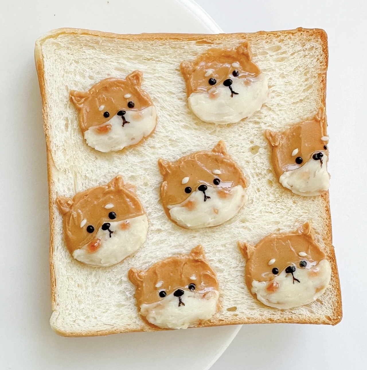 [柴老大新聞台]柴犬吐司DIY食譜，畫歪了特别可爱