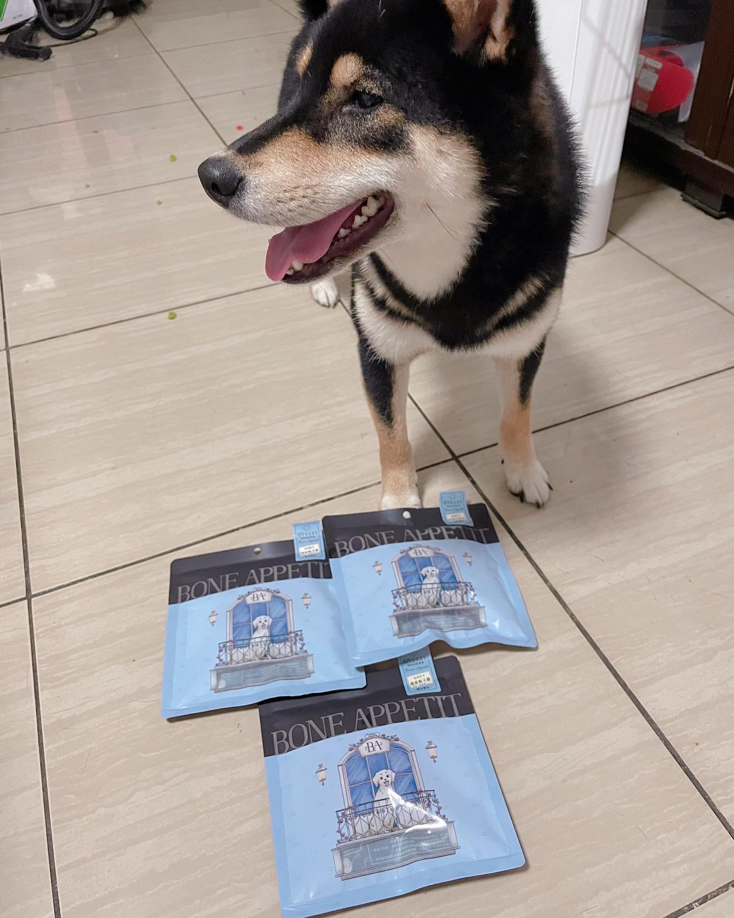 [開箱分享]柴犬Siri｜BONE APPETIT零食 試吃分享