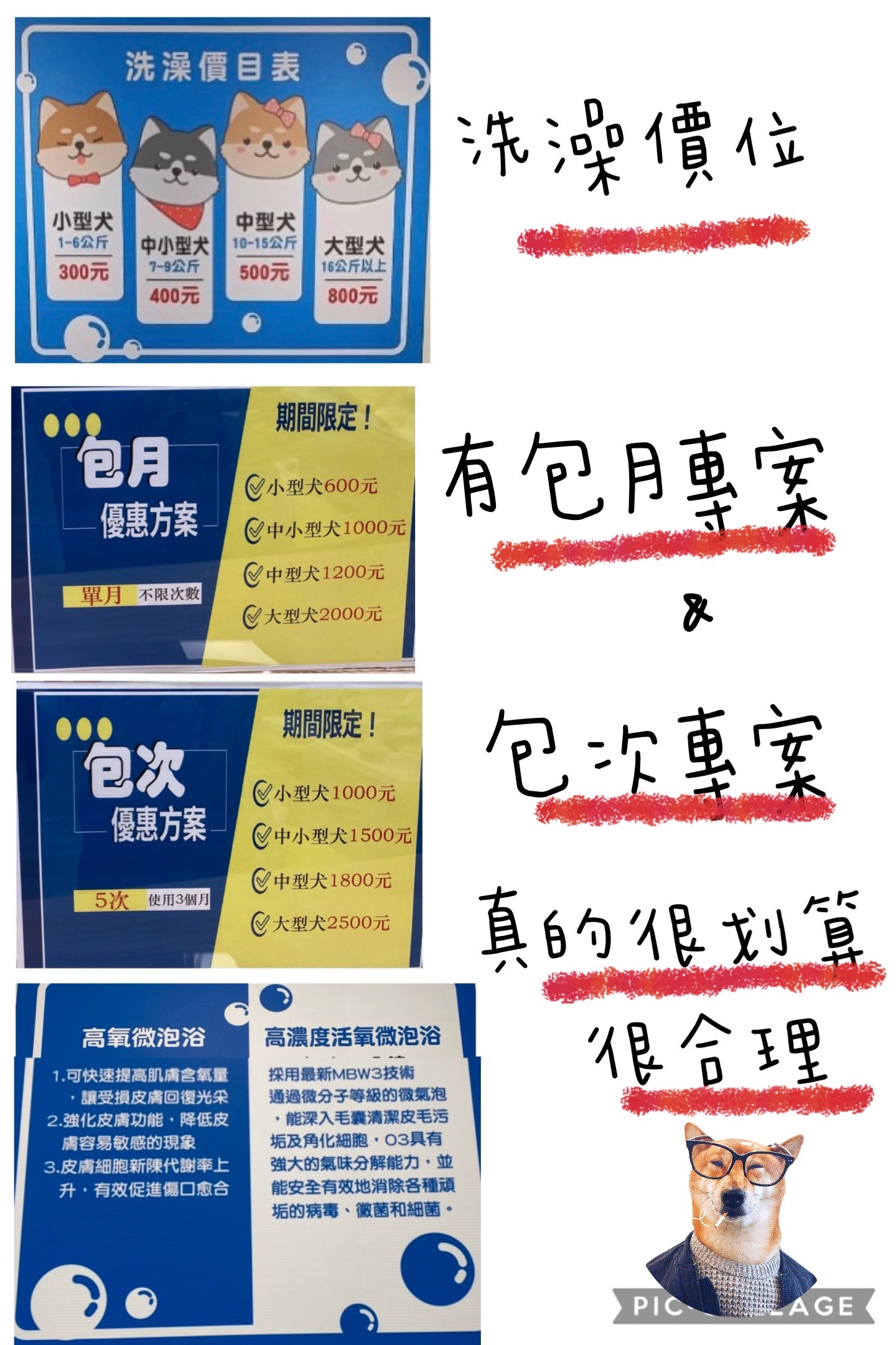 [開箱分享]柴犬Paffy｜皮膚變好了