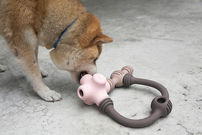 [開箱分享]𝗖𝗮𝗻𝗶𝗣𝗹𝗮𝘆狗狗知育玩具｜6/6-6/16限時開團中