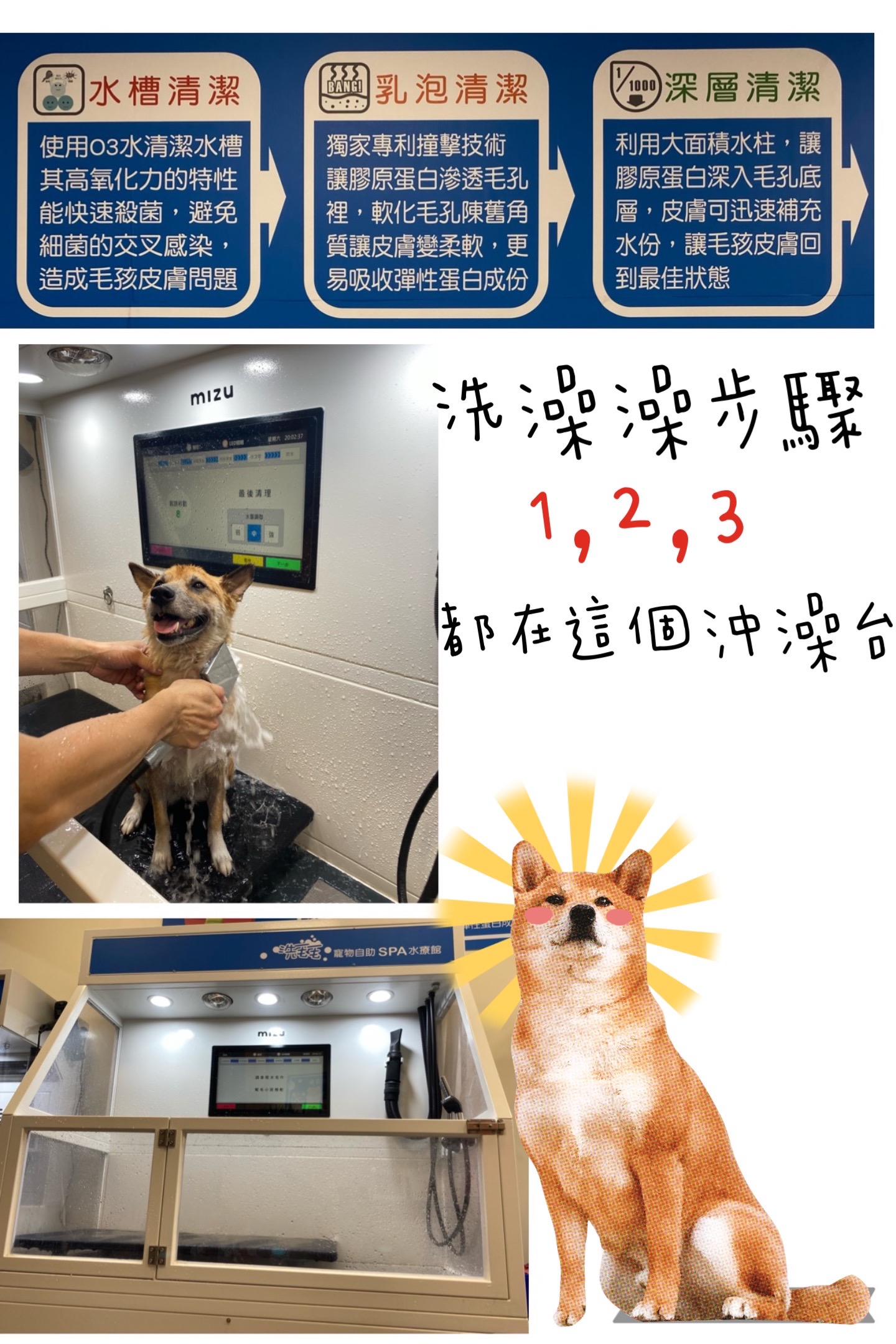 [開箱分享]柴犬Paffy｜皮膚變好了