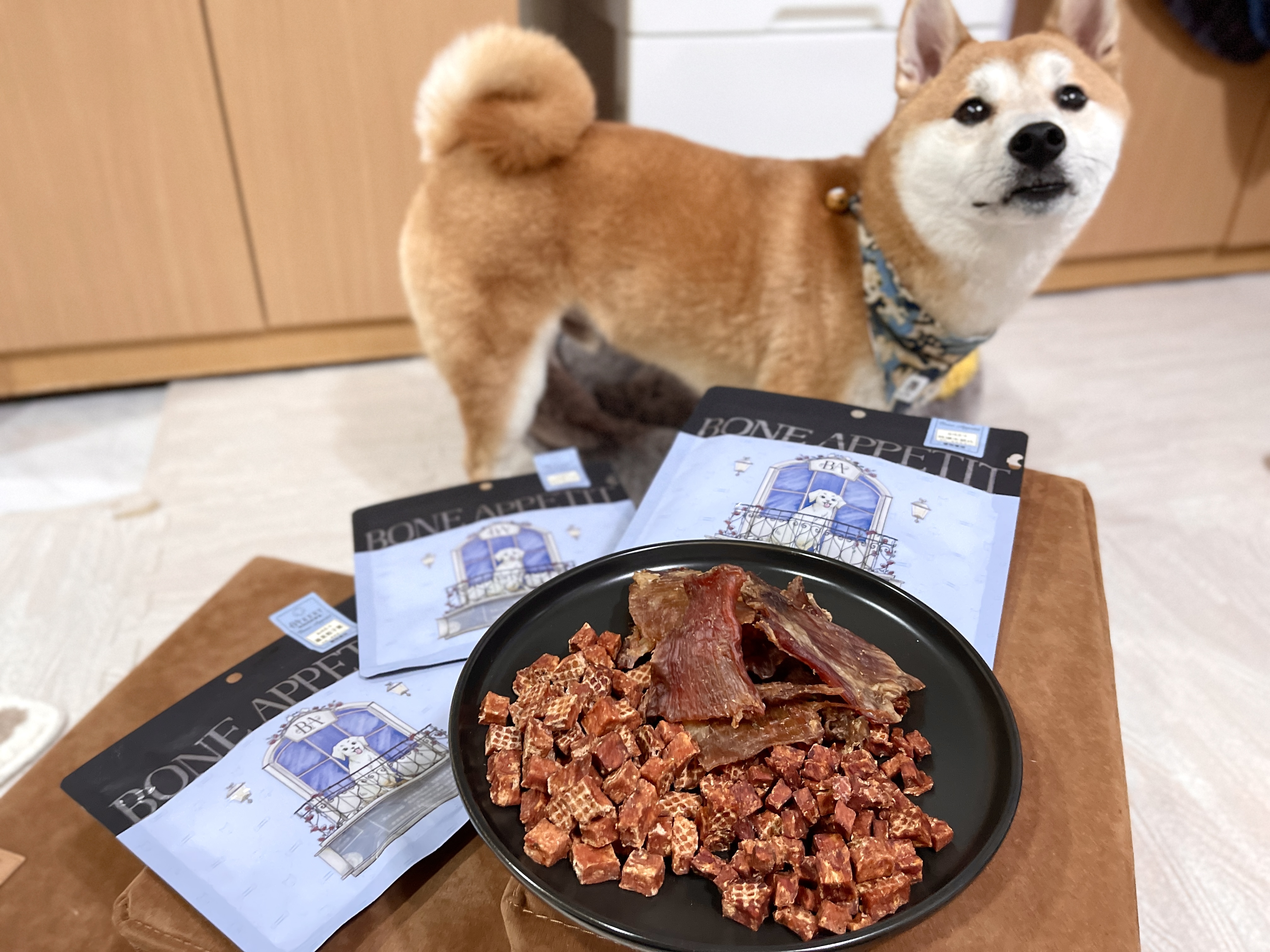 [開箱分享]柴犬皮皮｜Bone Appetit 原肉零食❗️ 雞肉風味骰子鹿、蘋果骰子機、牛筋片
