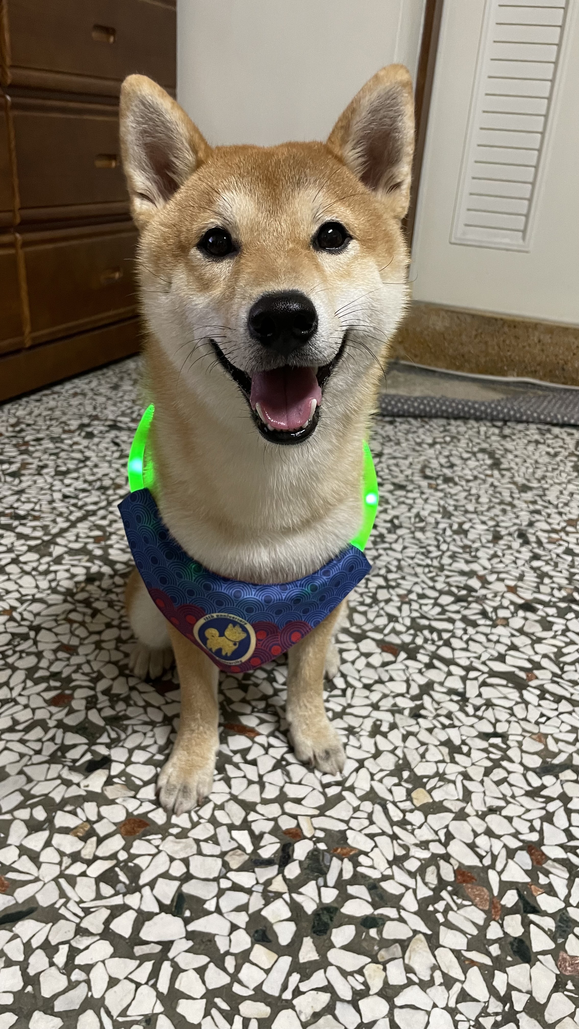 [開箱分享]拿鐵與柴大歡慶15週年 分享