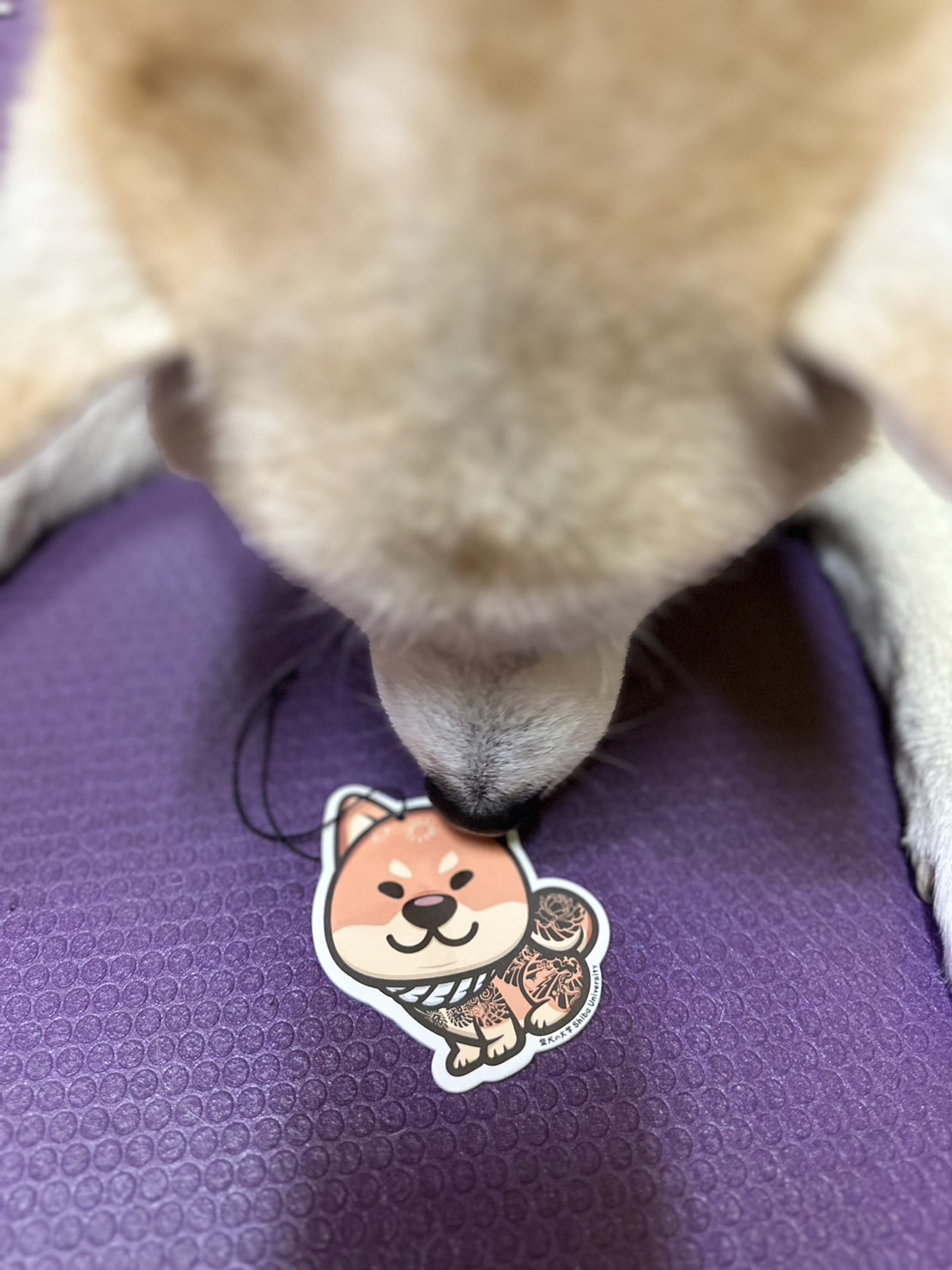 [開箱分享]到處有柴味超幸福～