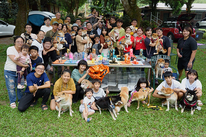 [柴老大新聞台]柴犬大學第一露｜南投樹語天境｜萬聖露營趴