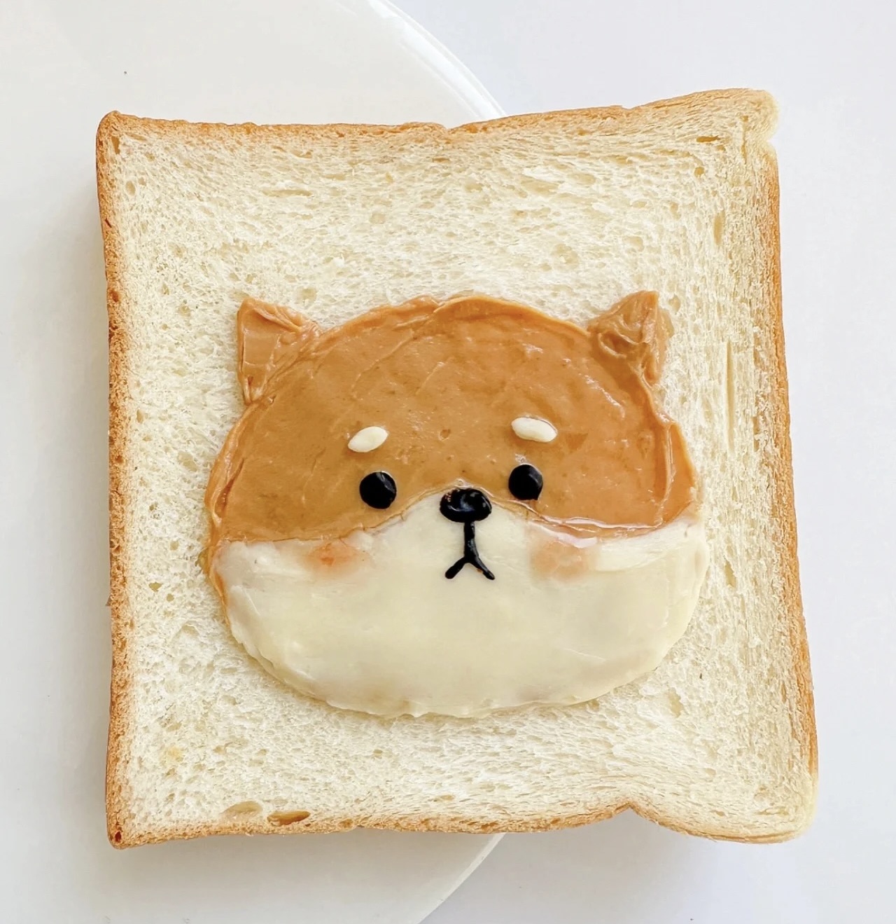 [柴老大新聞台]柴犬吐司DIY食譜，畫歪了特别可爱