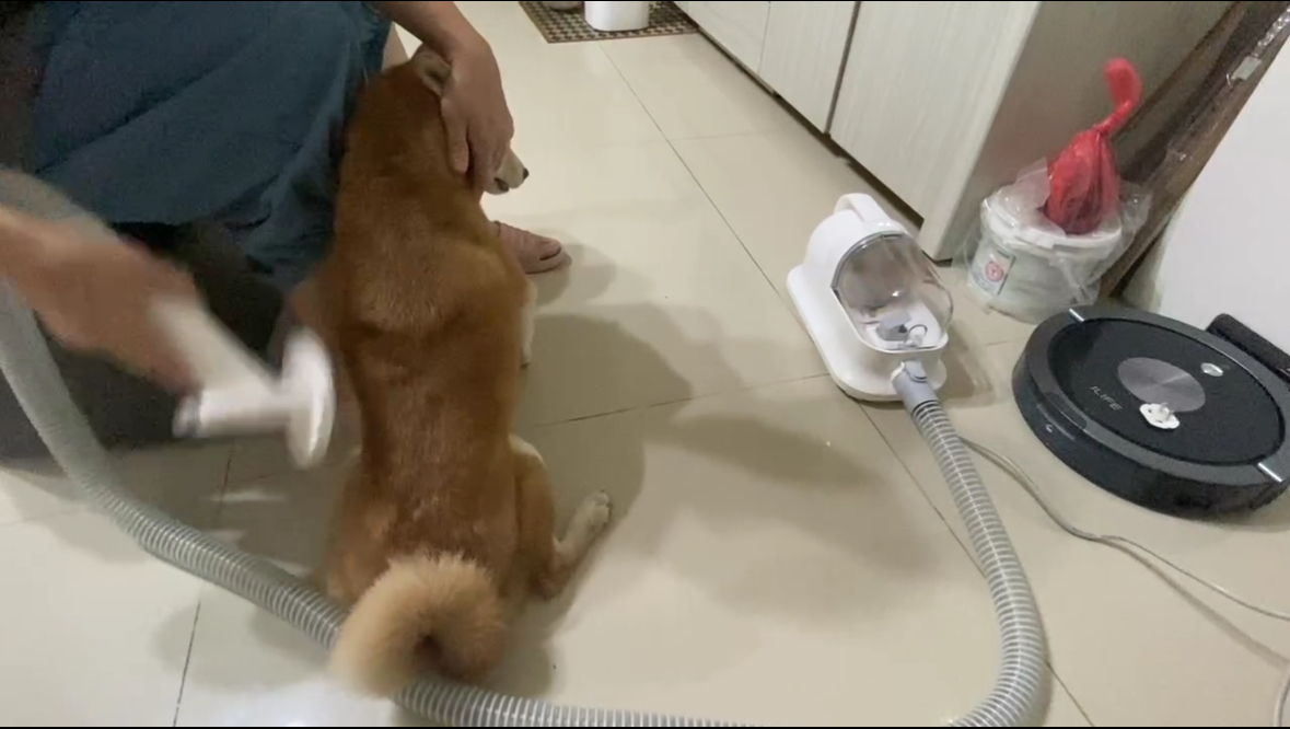 [開箱分享]延長保固活動：仔仔+吸毛機 分享