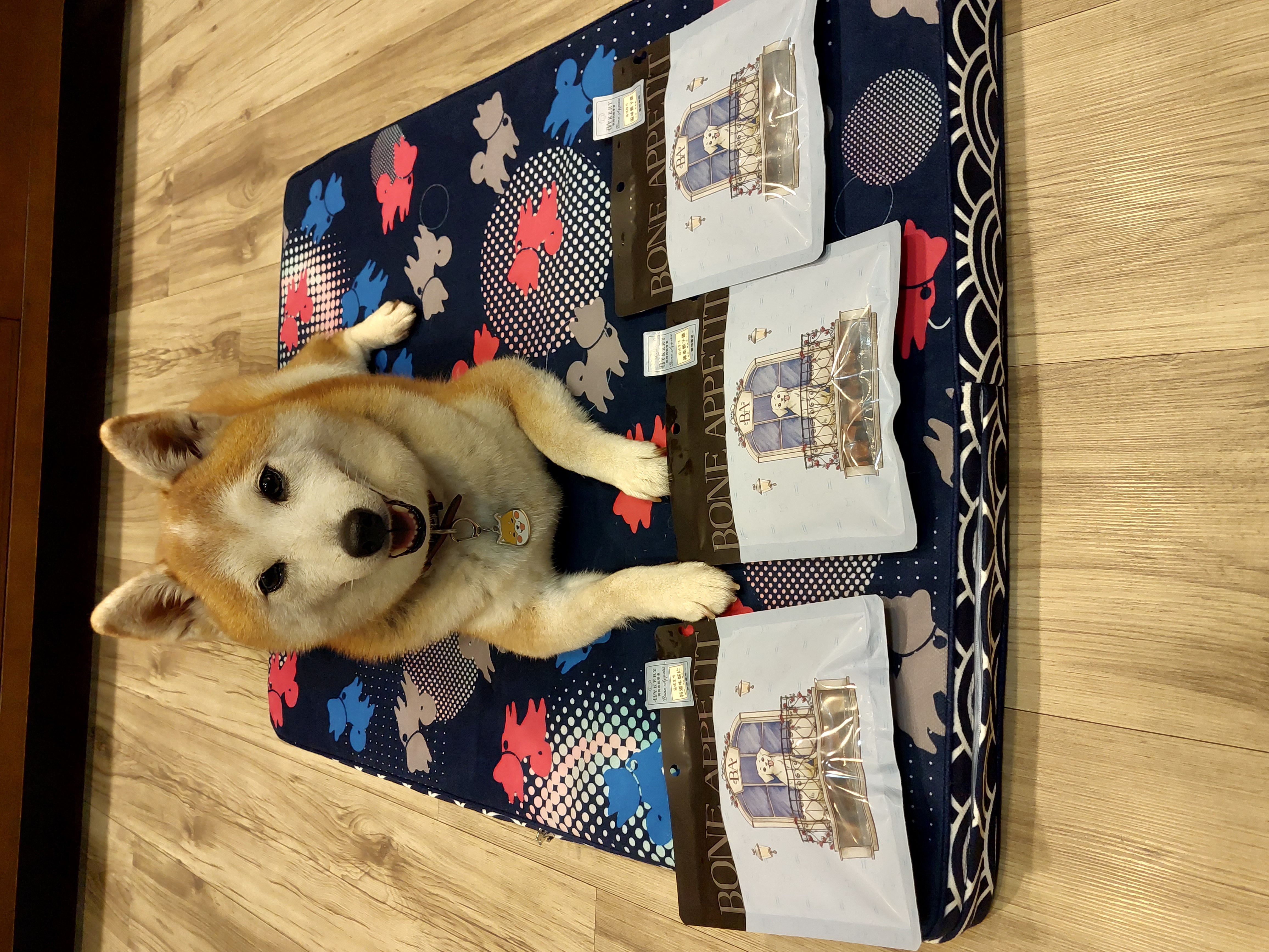 [開箱分享]柴犬妮妮｜分享試吃