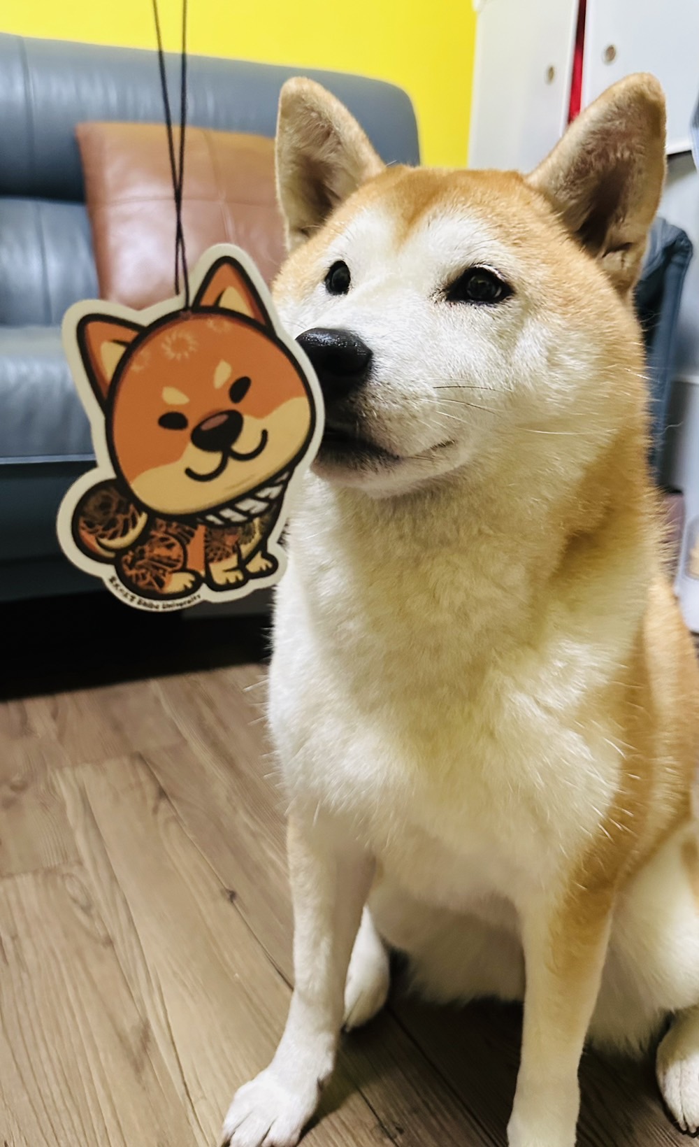 [開箱分享]到處有柴味超幸福～