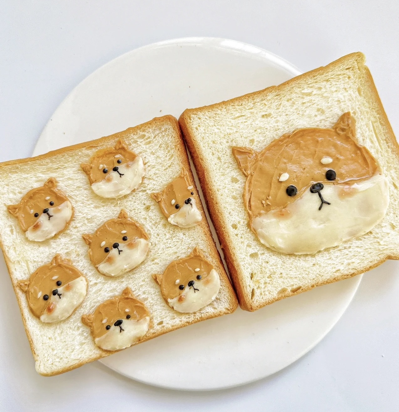 [柴老大新聞台]柴犬吐司DIY食譜，畫歪了特别可爱