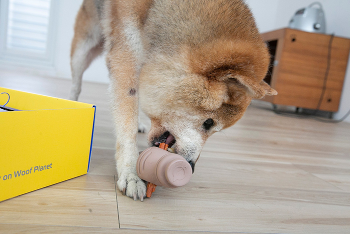 [開箱分享]𝗖𝗮𝗻𝗶𝗣𝗹𝗮𝘆狗狗知育玩具｜6/6-6/16限時開團中