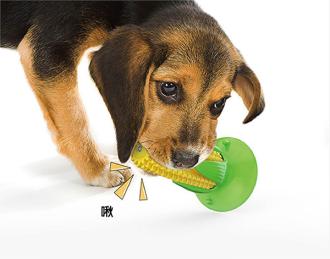 耐咬潔牙玩具-仙人掌         