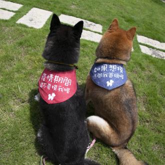 柴犬大學 - 貼心雙面警示涼感領巾 防疫必備  寶寶可用              