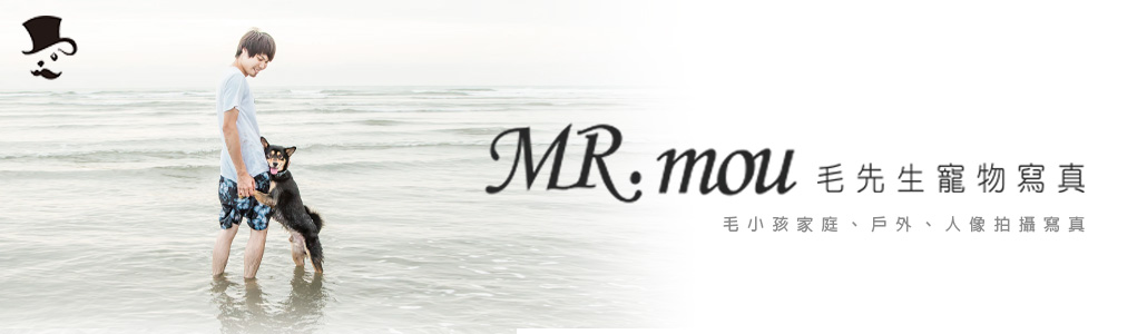 MR.mou毛先生寵物寫真
