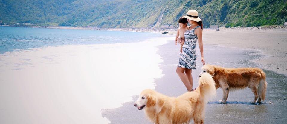 黃金獵犬龍靖家