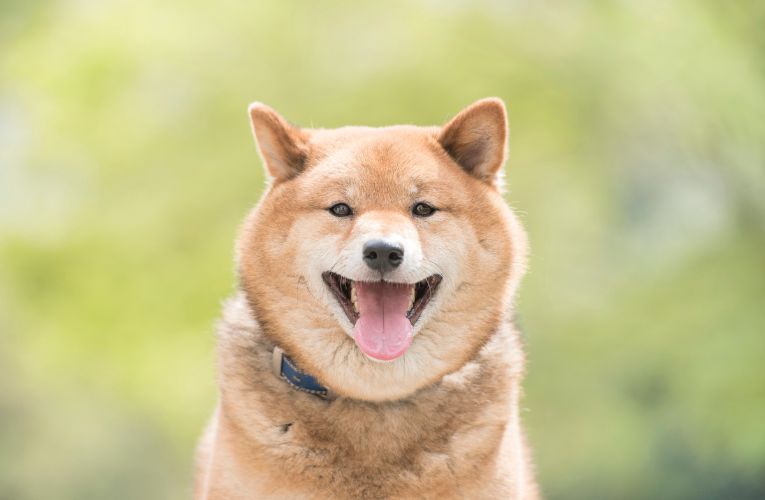 BRAND STORY / 品牌故事