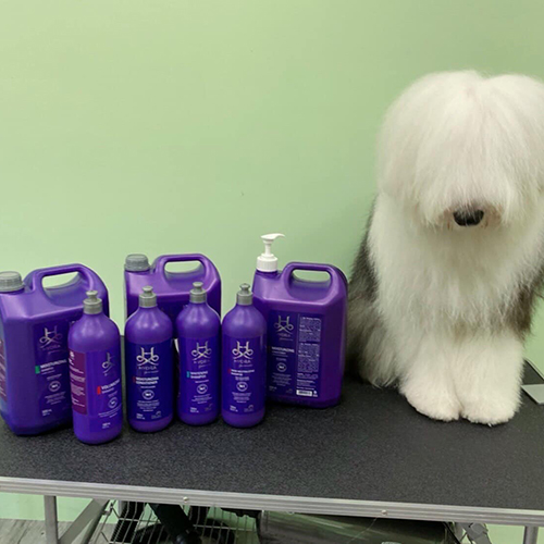 使用巴西進口Hydra海卓寵物洗毛精