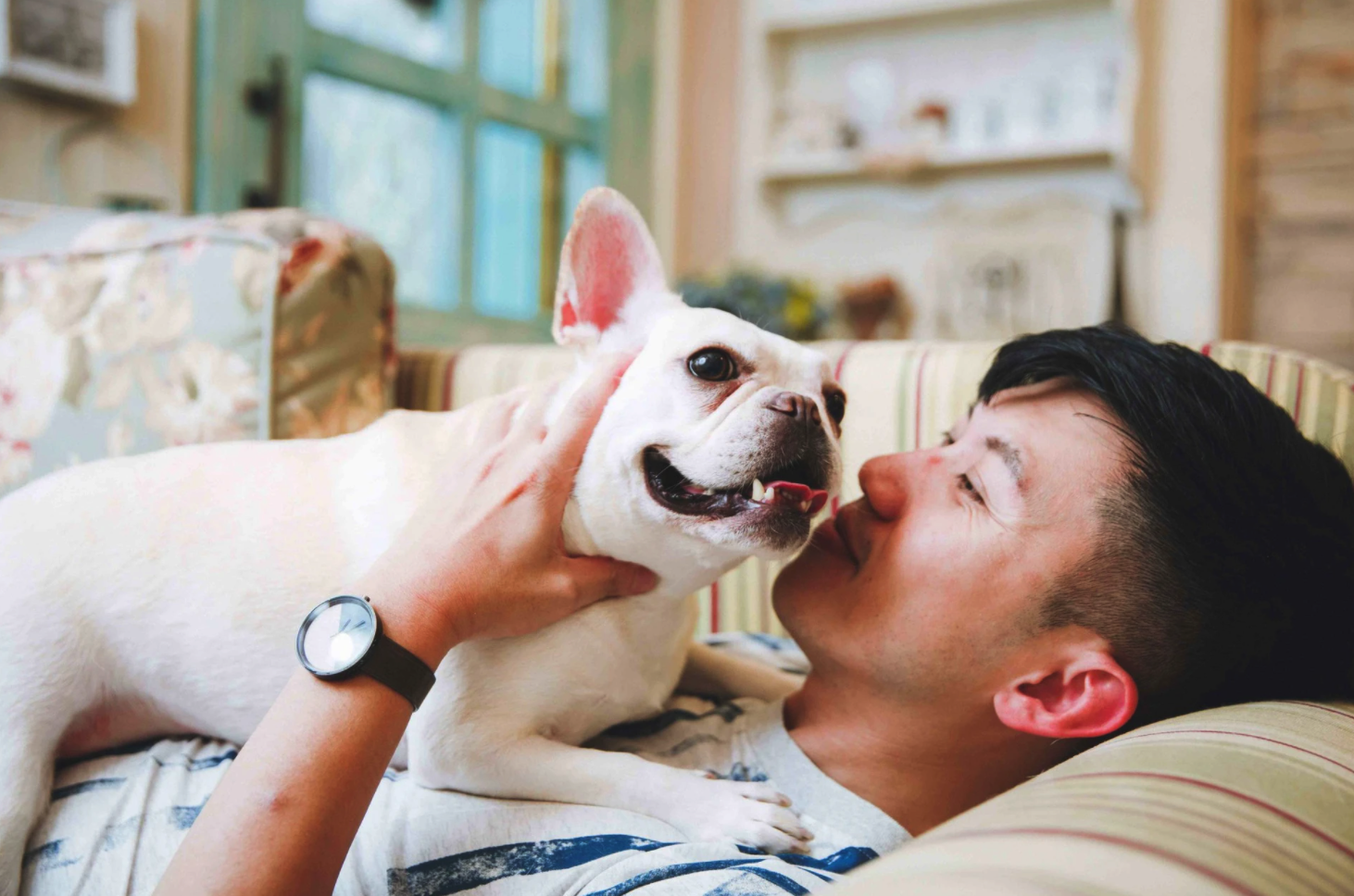 毛小孩家庭寫真