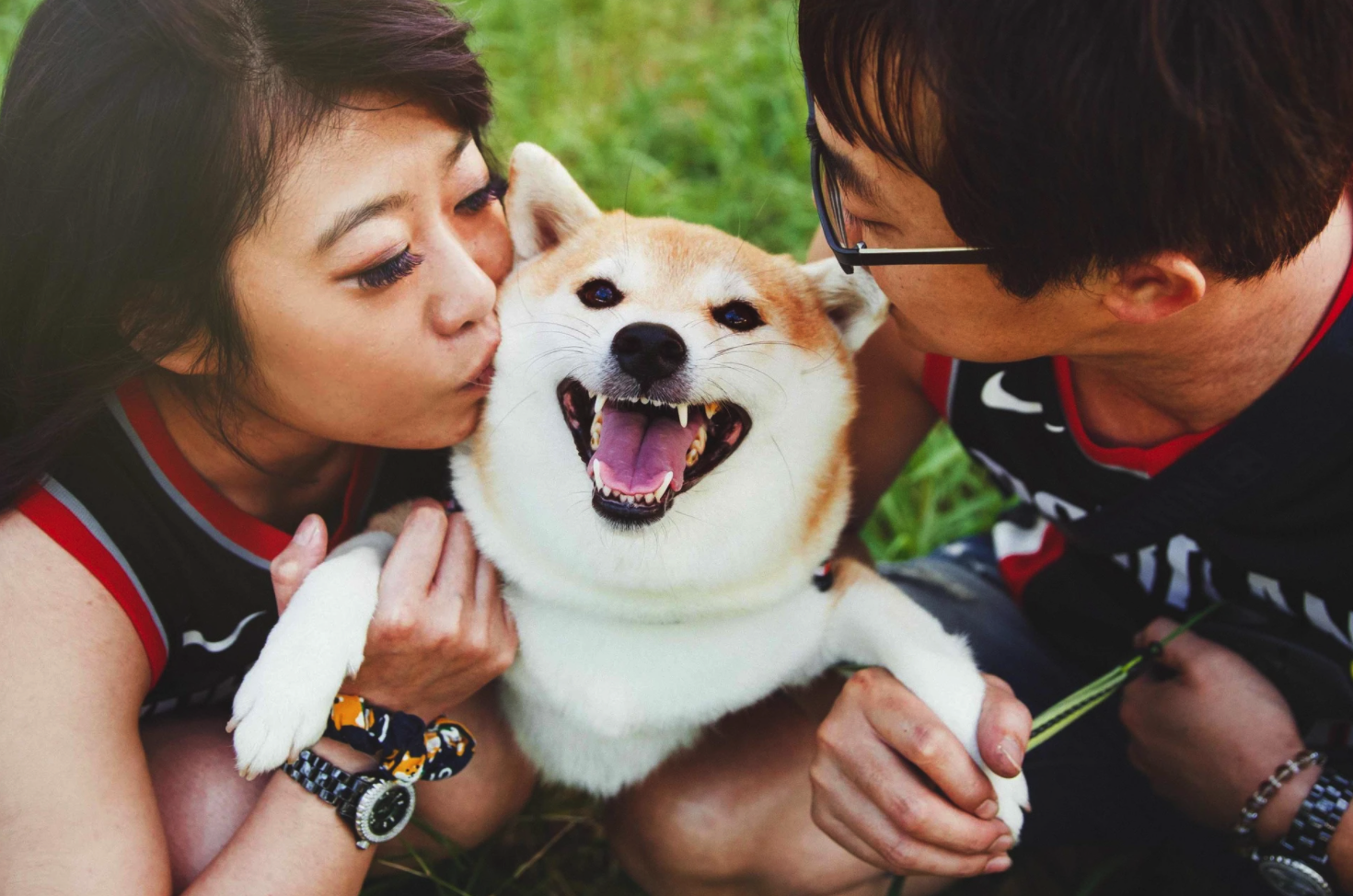 毛小孩戶外寫真