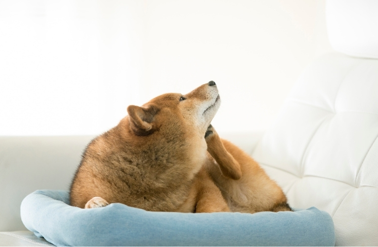 TECHNOLOGY / 創新技術