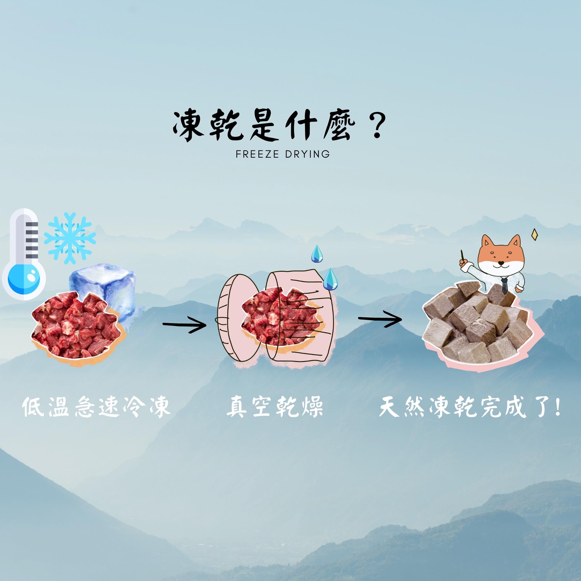 什麼是原肉塊凍乾？
