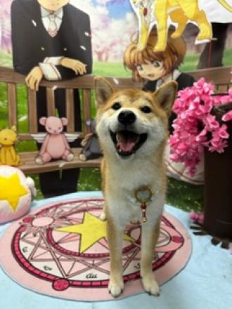 【陳映映】帶著【熊熊】來報到囉！