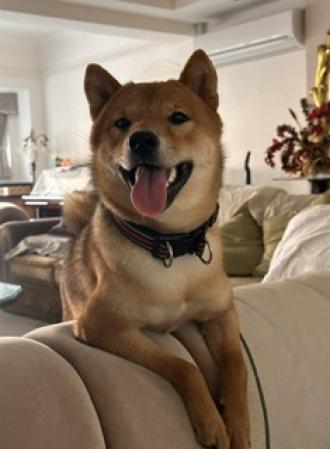 【Mandy Lau】帶著【菜波能】來報到囉！